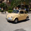 Montevago 2010 (275)